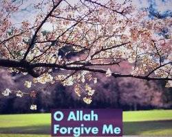 Striving for Forgiveness by Day and Night
