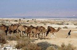Israel restricts Jordan Valley water access 