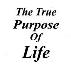 Points to Ponder: The True Purpose of Life