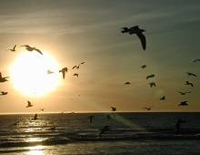 كيف نعيش الأزمة؟