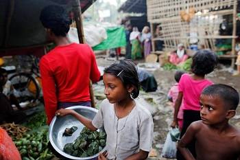 Hundreds of Rohingya Muslim houses destroyed in Myanmar