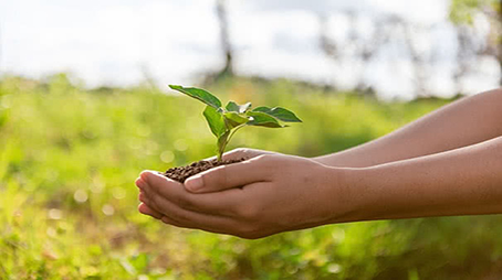  ثمرات الإيمان بالقدر