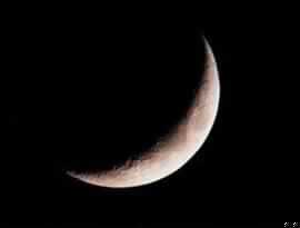 الوصية بالأشهر العربية