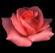 الدعوة الفردية آمال ونصائح 2ـ2