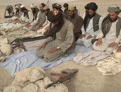 طالبان وأمريكا.. والتضليل الإعلامي