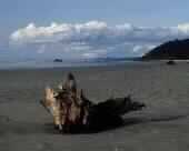 (4) حفصة بنت عمر بن الخطاب رضي الله عنها