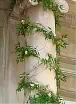 دعائم الحياة الزوجية