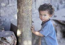 Israel Troops Kill Seven Palestinians in Gaza, including Toddler 