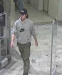 Swedish Police Nab Lindh Murder Suspect