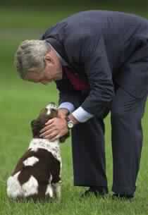 Senate Backs Converting Some Iraq Aid to Loans