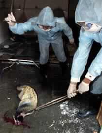 China Identifies 2nd Suspected SARS Case