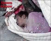 More than 280 Iraqis Killed in Fallujah as Israelis, Japanese, Koreans Held Hostage