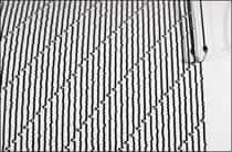 11 Killed as Earthquake Hits Papua