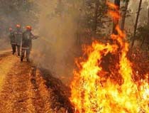 Portuguese Firefighters Struggle to Contain Forest Fires