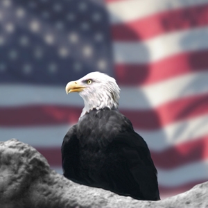 Neocons down, not out 