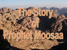 The story of Prophet Moosaa -II