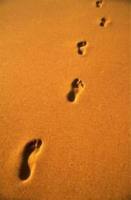 Hinterlasse ein Zeichen!  Teil 1