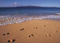 Hinterlasse ein Zeichen!  Teil 2