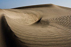 Lo que dice el Corán sobre el olvido: Causas que conllevan al olvido